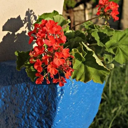 酒店 费尔内咖啡与早餐酒店