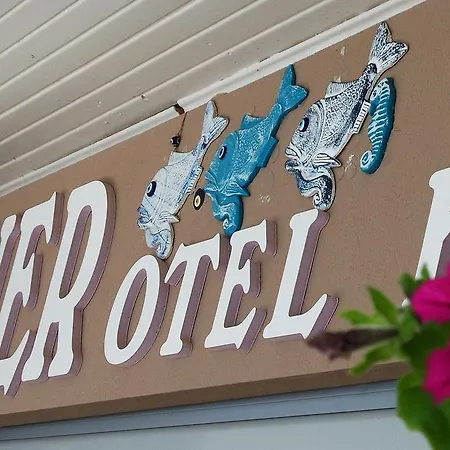 费尔内咖啡与早餐酒店